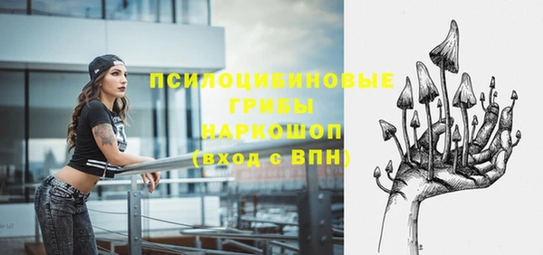 таблы Вяземский