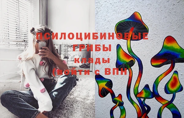 таблы Вяземский